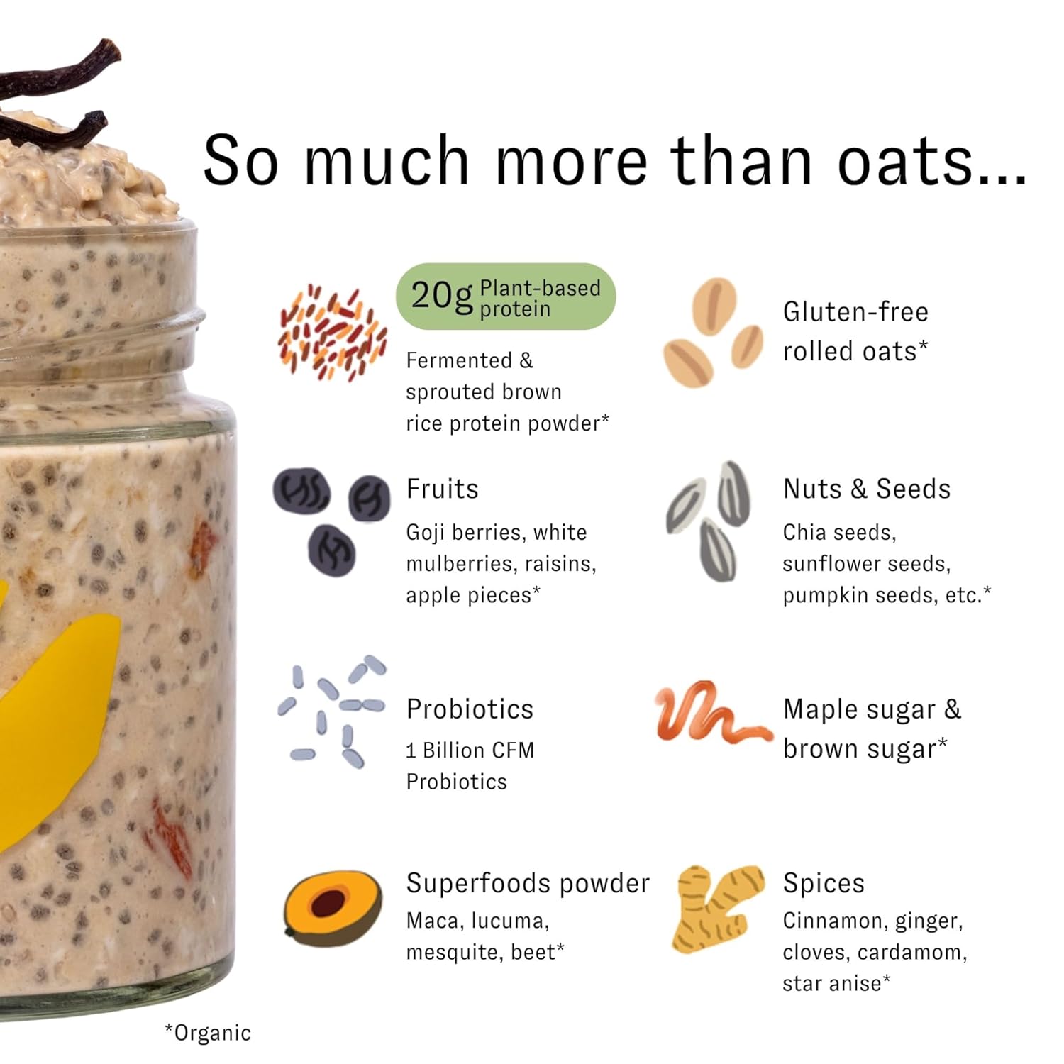HOLOS Protein Overnight Oats - 12 Pack Variety Flavors with Jar - 20g Plant Proteins, Organic Gluten Free Cereal with High Fiber, Probiotics, Vitamins, Minerals - Image 5