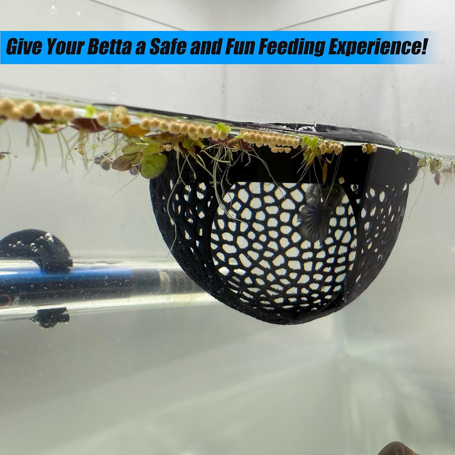 Aquarium Floating Betta Fish Skins, Betta or Shrimp Feeder, Cave and Hammock, Small Fish Feeding Rings, Aquarium Hiding Feeding Decorative Accessories (Green) - Image 5