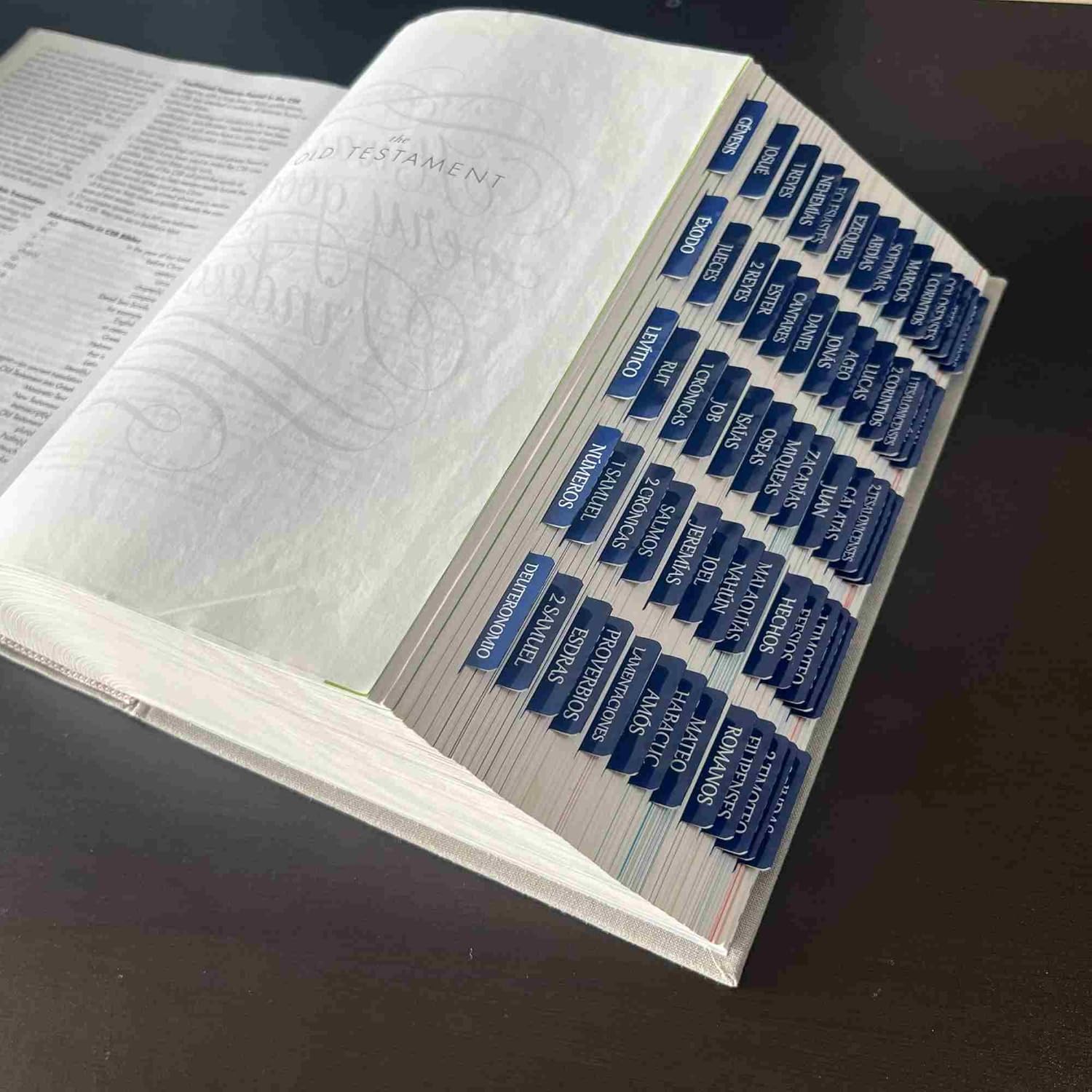 Spanish Laminated Bible Tabs, pestañas para biblia en español, Reposition Large Print Stickers, Easy to Read and Apply Bible Tabs for Women and Man (Spanish Blue) - Image 6