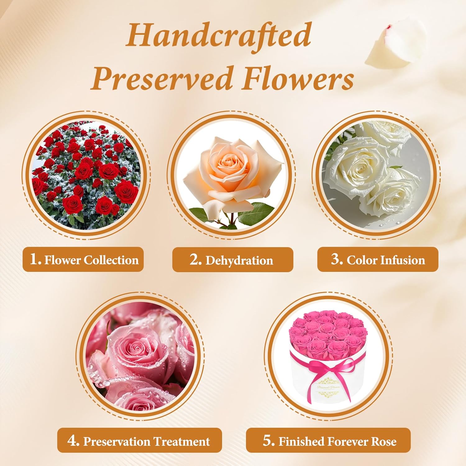 17 Forever Flowers in a Luxury Suede Box, Preserved Roses Birthday Gifts for Women, Romantic Anniversary Valentines Day Gifts for Girlfriend Wife Her, Pink - Image 6