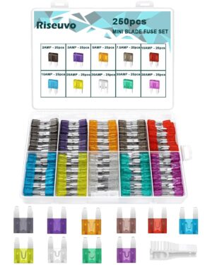 Riseuvo 250 Pcs Mini Fuse Kit ̵...