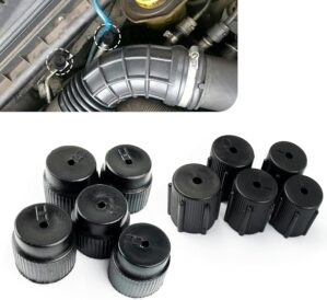 10 PCS Car A/C Valve Core Caps, R13...