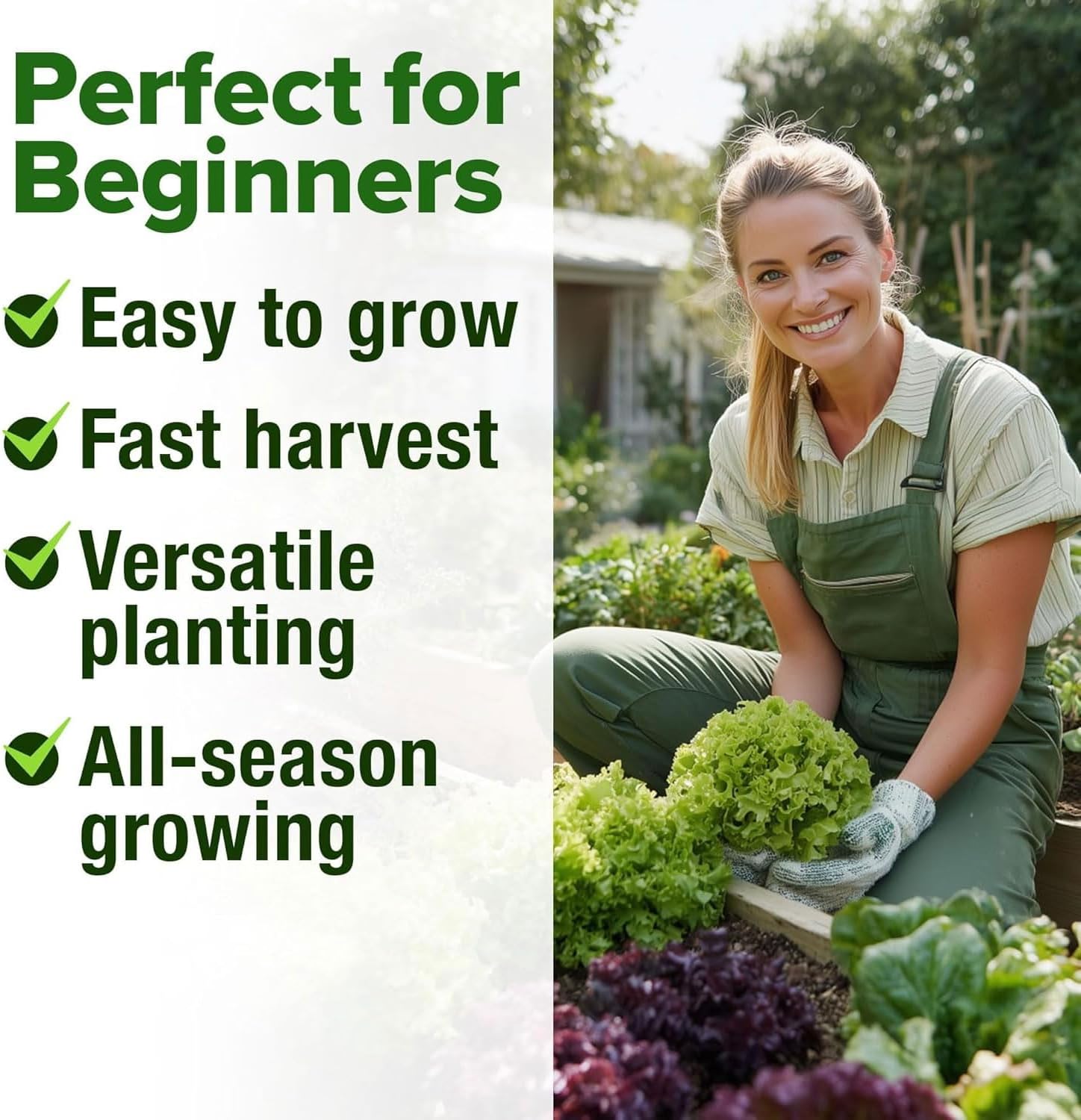 HOME GROWN 20 Variety Lettuce Seeds 21,500+ Bulk Pack Heirloom Non-GMO, High Germination, Romaine,Butterhead, Spinach, Kale, Iceberg, Continuous Harvest,Indoor Outdoor Hydroponic Garden (20 Varieties) - Image 7