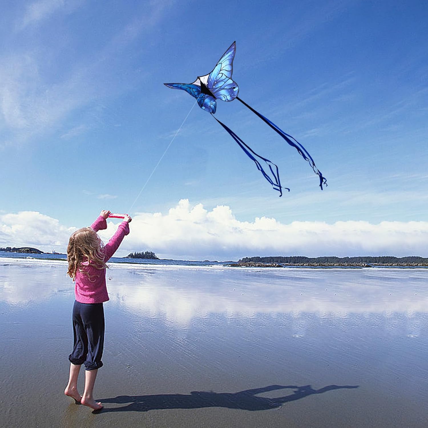 Butterfly Kites for Kids and Adults, Easy to Fly Large Single Line Kite for Boys and Girls - 55" x 28" Beach Kite for Beginners, 300ft String Handle Included - Image 6