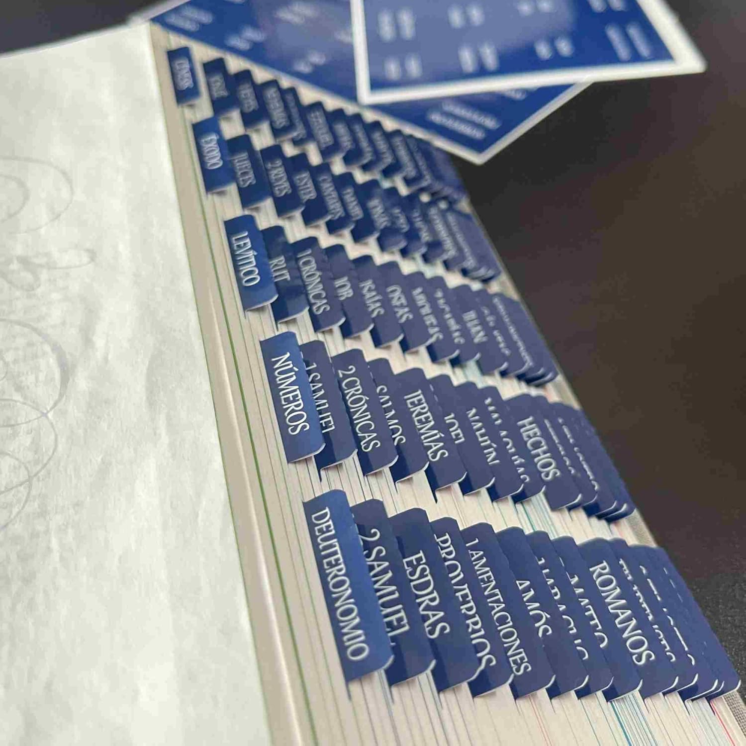 Spanish Laminated Bible Tabs, pestañas para biblia en español, Reposition Large Print Stickers, Easy to Read and Apply Bible Tabs for Women and Man (Spanish Blue) - Image 3