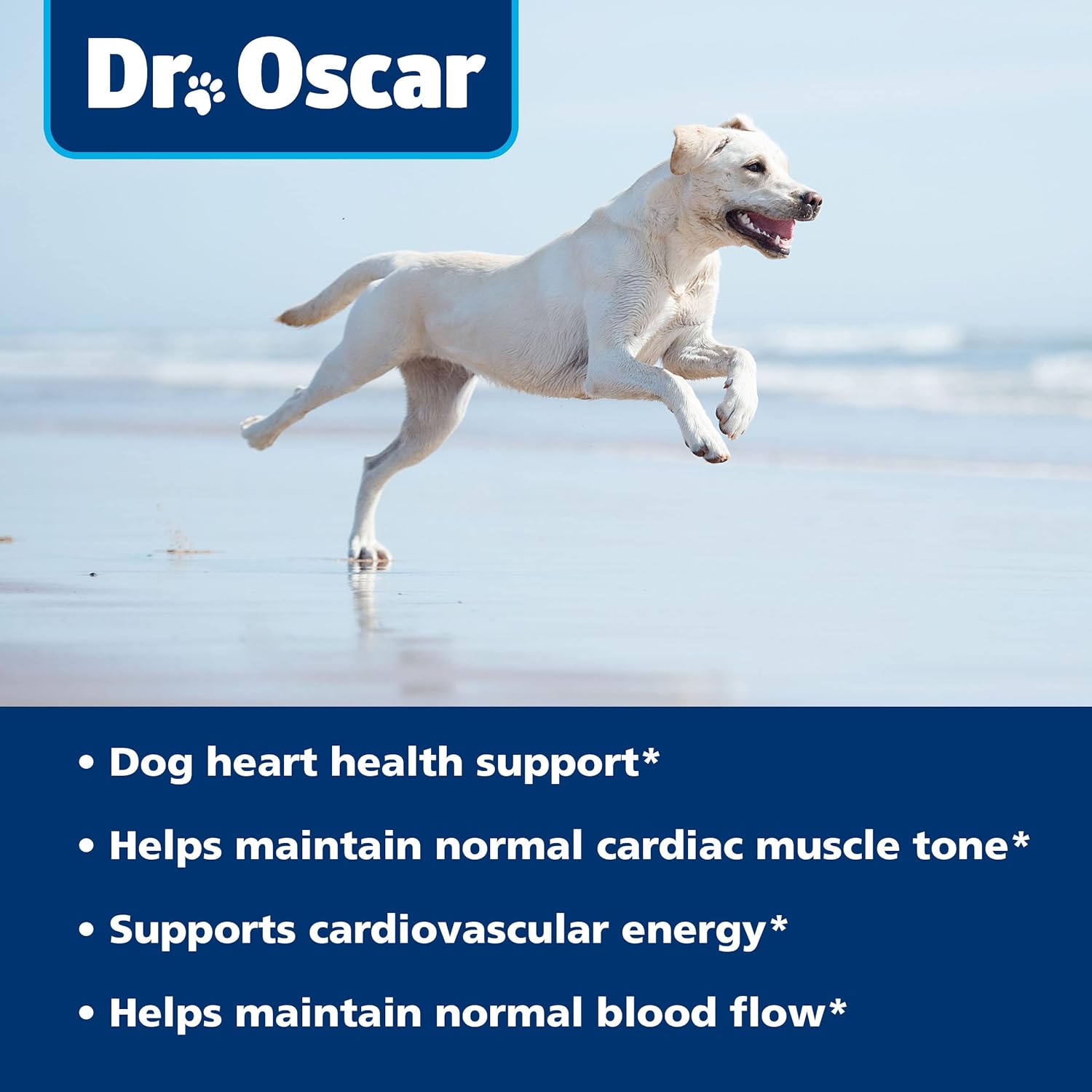 Taurine Supplement for Dogs Meets RDA of 500 mg per 25lbs Weight Unlike Most Alternatives, 120ct, Helps Maintain Dog Heart Health, Normal Function of The Cardiac Muscle & Normal Blood Flow - Image 5