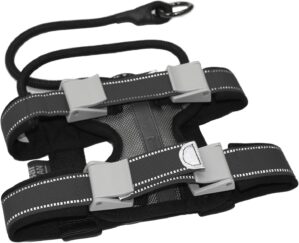 Cesar Millan Pack Leader Collar™ ...