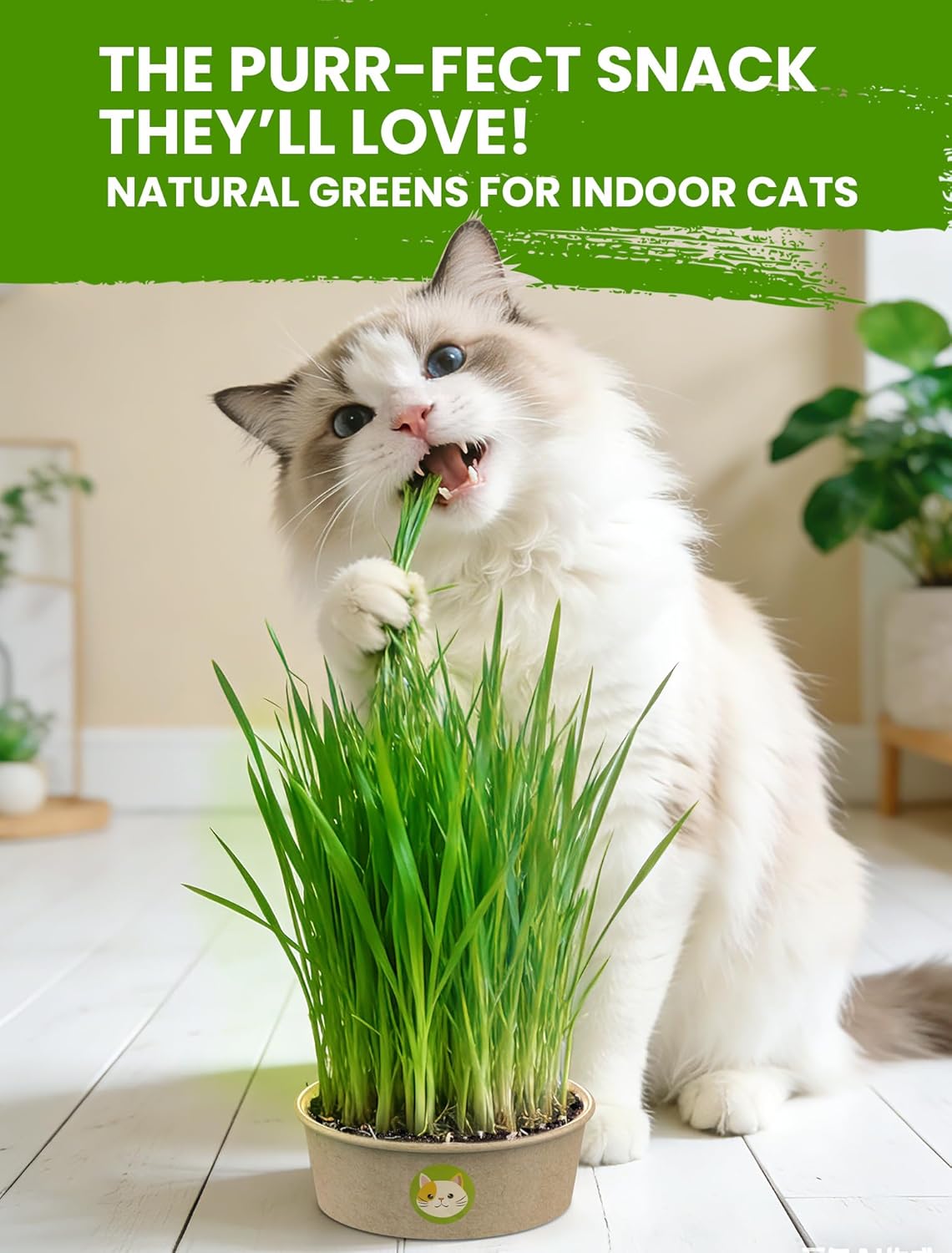 Cat Grass Kit for Indoor Cats, 3 Pack Fast Growing Cat Grass Kit with Eco-Friendly Biodegradable Pots, Soil & Wheatgrass Seeds, Grows in 3-7 Days with High Germination Rate - Image 3