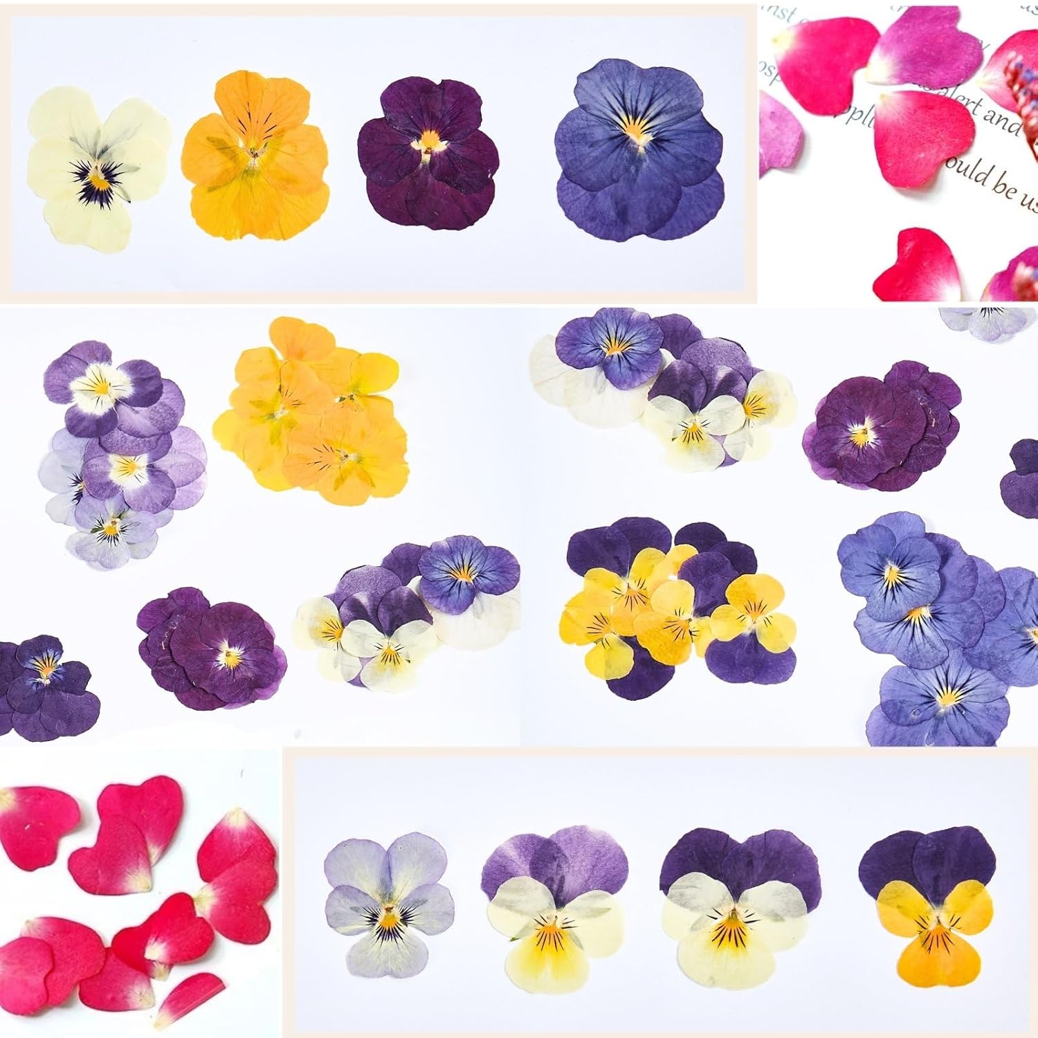 74 Pcs Edible Flowers for Cocktails Cake Decorating Drinks, Real Dried Pressed Flowers Cupcake Toppers, Food Grade Dry Flowers for Crafts Resin Mix with Pansy, Heart Rose Petals, Orange - Image 8