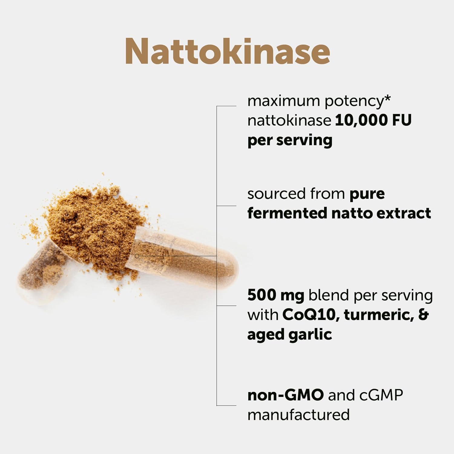 Micro Ingredients Nattokinase 10,000 FU Per Serving (Natural Natto Extract), 240 Vegetarian Capsules | with CoQ10, Turmeric, Aged Garlic & Pine Bark Extract | Non-GMO, Lab Tested, cGMP Manufactured - Image 2