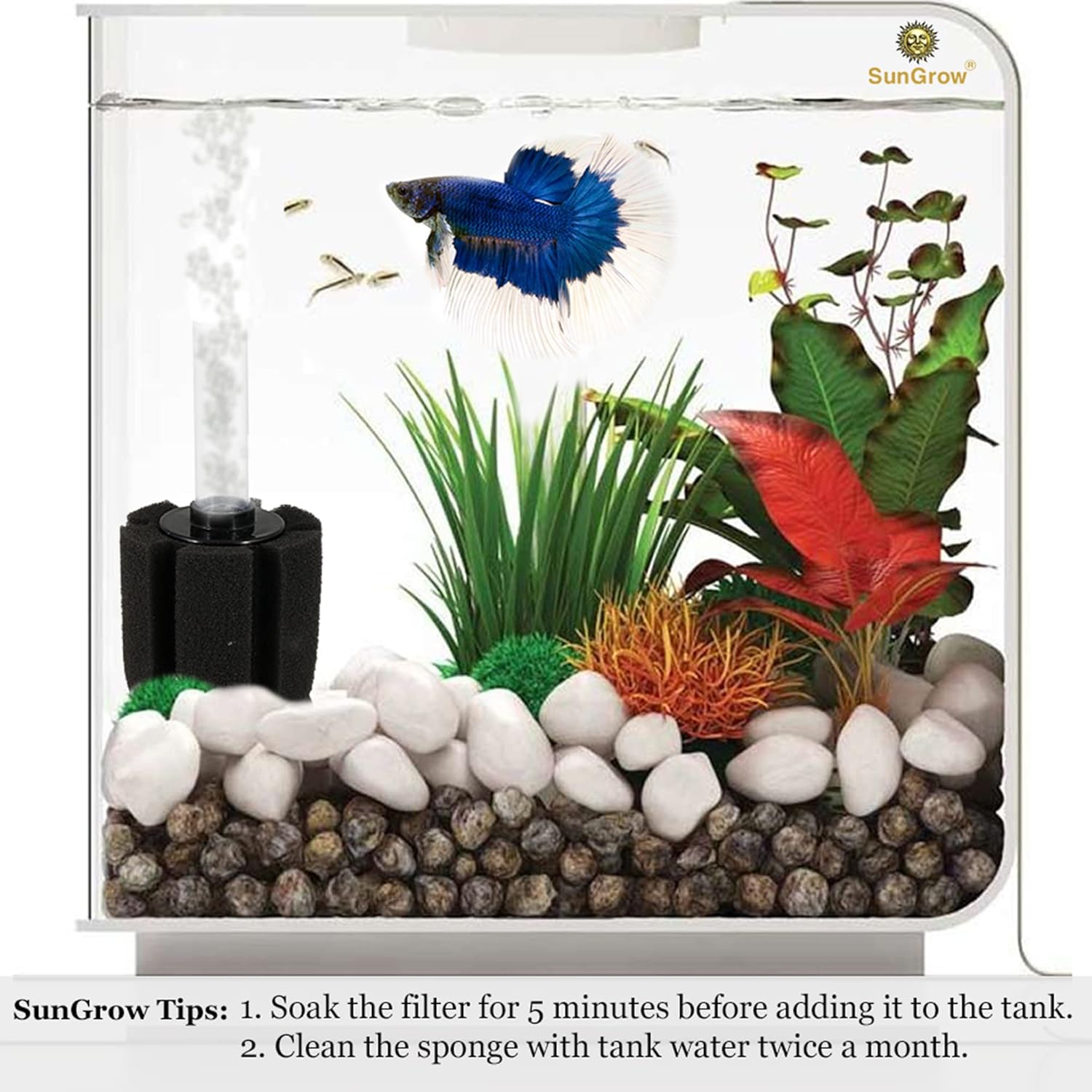 SunGrow 10-Gallon Betta Sponge Filter, Underwater Center Aquarium Filter, Attach it to Air Pump (Not Included) to Run, Works for Tropical Fish & Breeder Aquarium, Perfect for Fry & Small Fish - Image 3