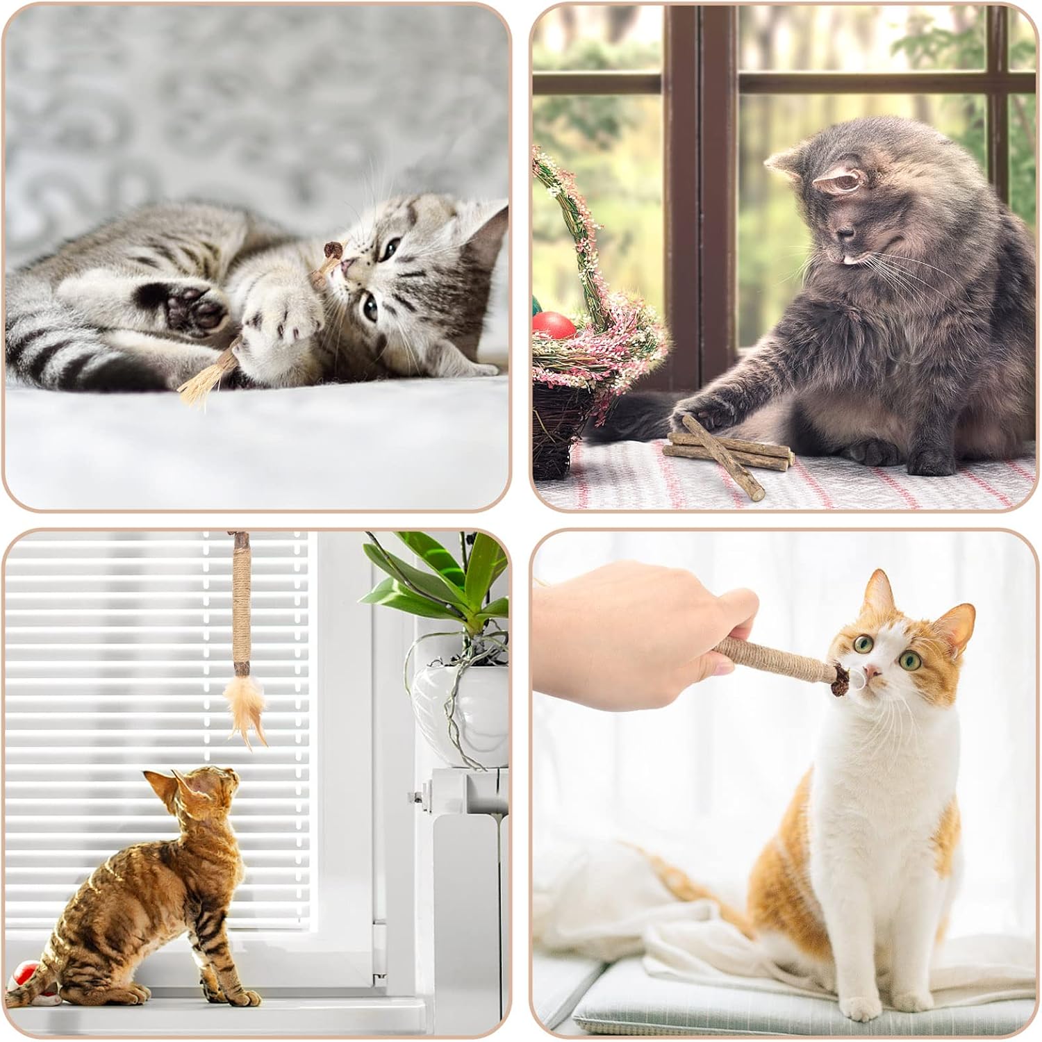 Bissap 10 PCS Silvervine Chew Sticks for Cats, Catnip Chew Sticks Cat Toys for Indoor Cat Kitten Teeth Grinding Interactive Feather Toys for Aggressive Chewers Dental Care - Image 6