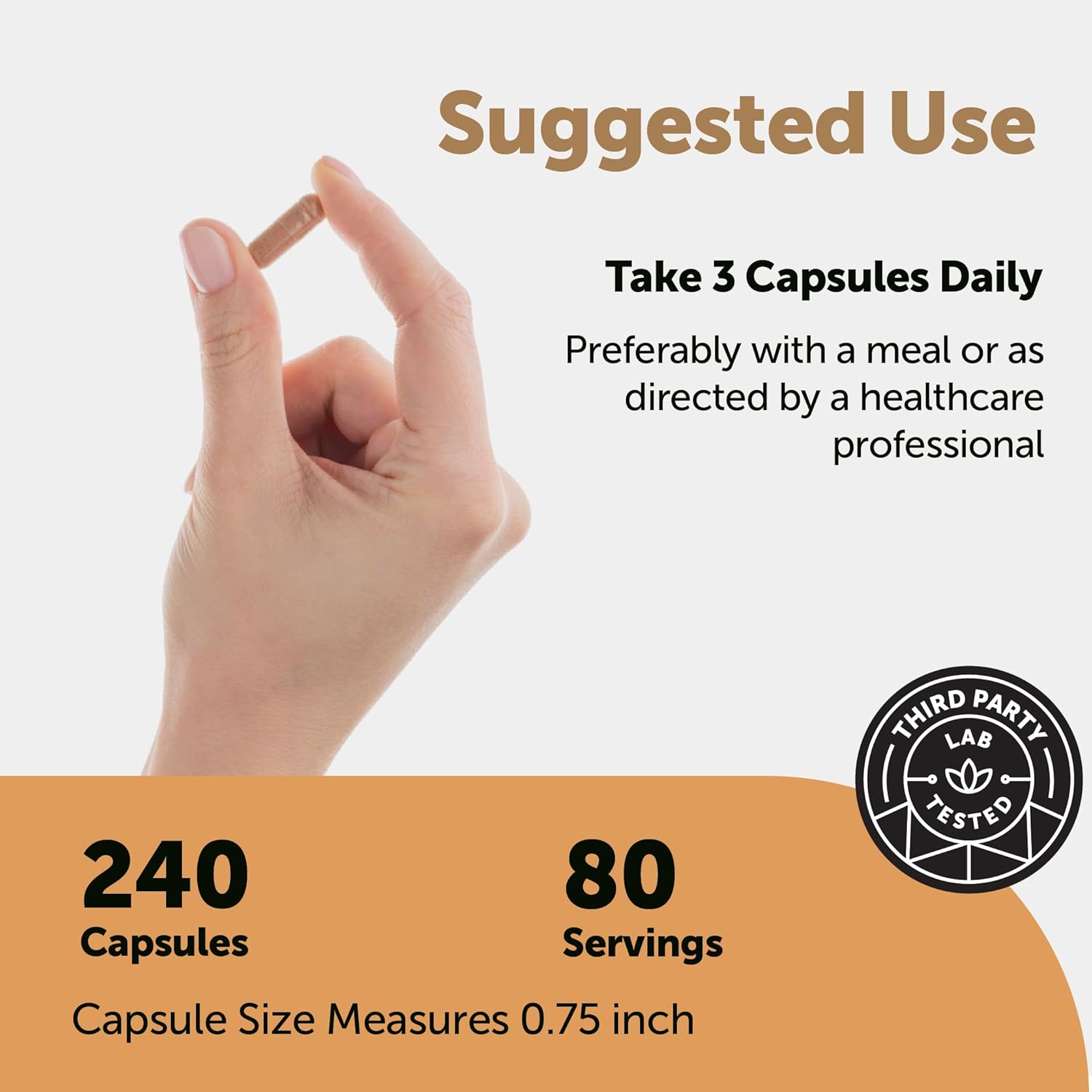 Micro Ingredients Nattokinase 10,000 FU Per Serving (Natural Natto Extract), 240 Vegetarian Capsules | with CoQ10, Turmeric, Aged Garlic & Pine Bark Extract | Non-GMO, Lab Tested, cGMP Manufactured - Image 3