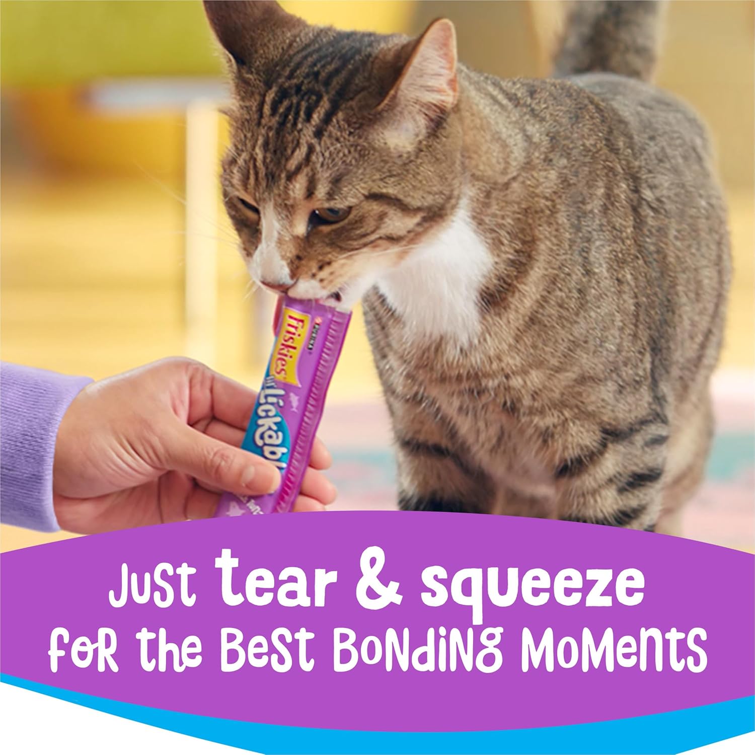 Purina Friskies Lil’ Lickables with Chicken Lickable Cat Treats - 16 oz (Pack of 32) - Image 4
