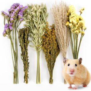 Sukh 42Pcs Herb Bedding Habitat Dec...