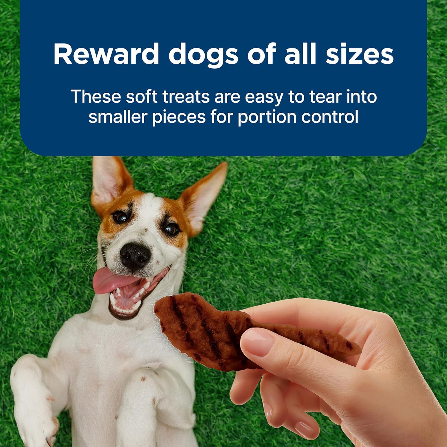 Blue Buffalo Nudges Grillers Natural Dog Treats, Made in the USA with Real Steak, 5-oz Bag - Image 4