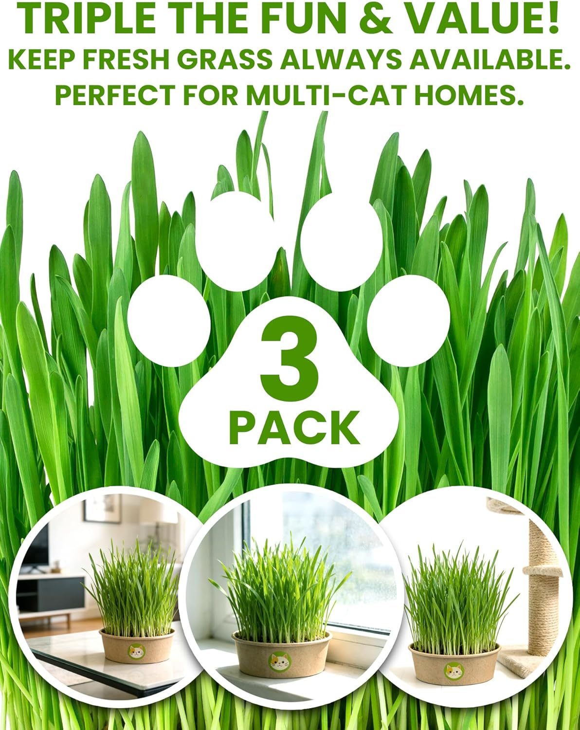 Cat Grass Kit for Indoor Cats, 3 Pack Fast Growing Cat Grass Kit with Eco-Friendly Biodegradable Pots, Soil & Wheatgrass Seeds, Grows in 3-7 Days with High Germination Rate - Image 5
