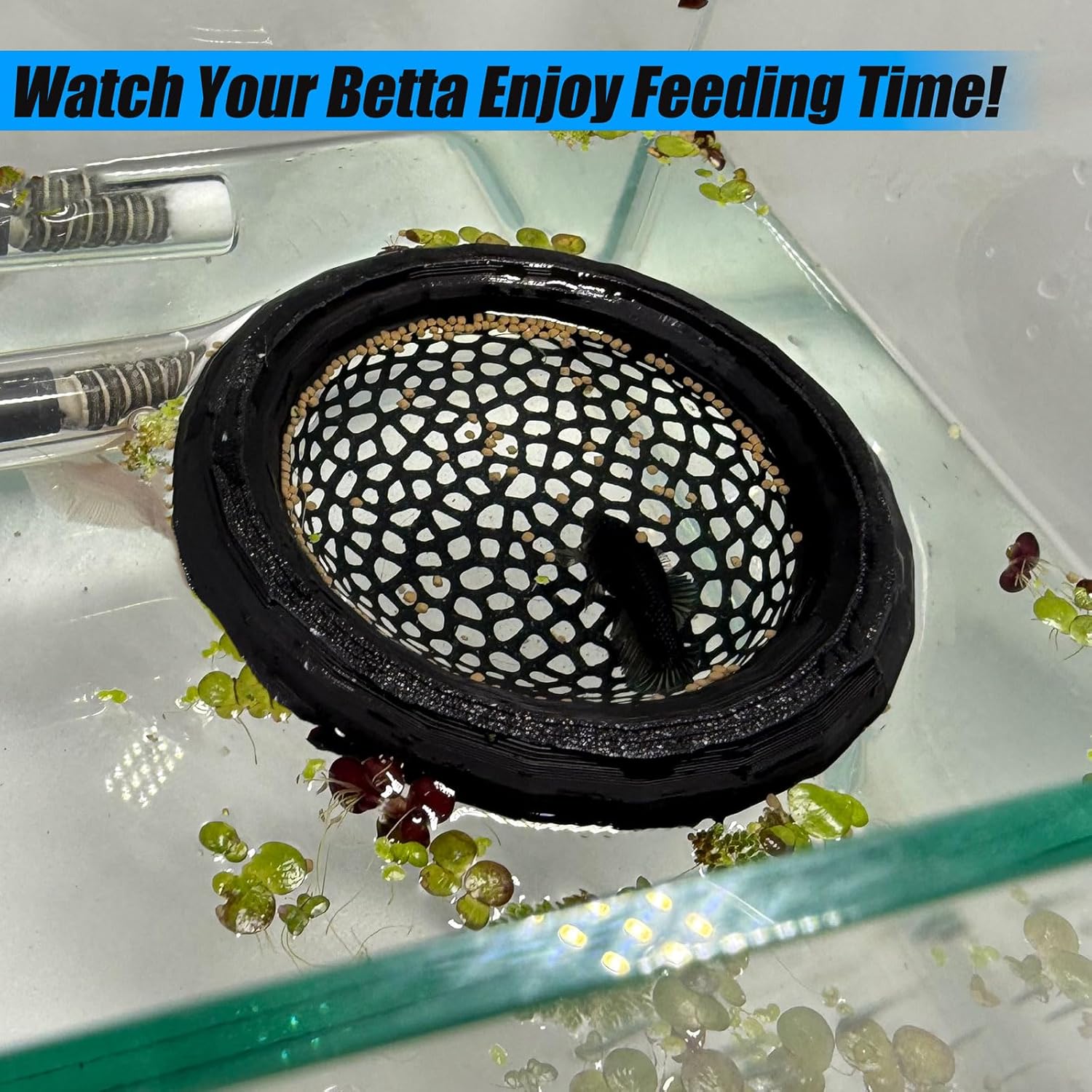 Aquarium Floating Betta Fish Skins, Betta or Shrimp Feeder, Cave and Hammock, Small Fish Feeding Rings, Aquarium Hiding Feeding Decorative Accessories (Green) - Image 4