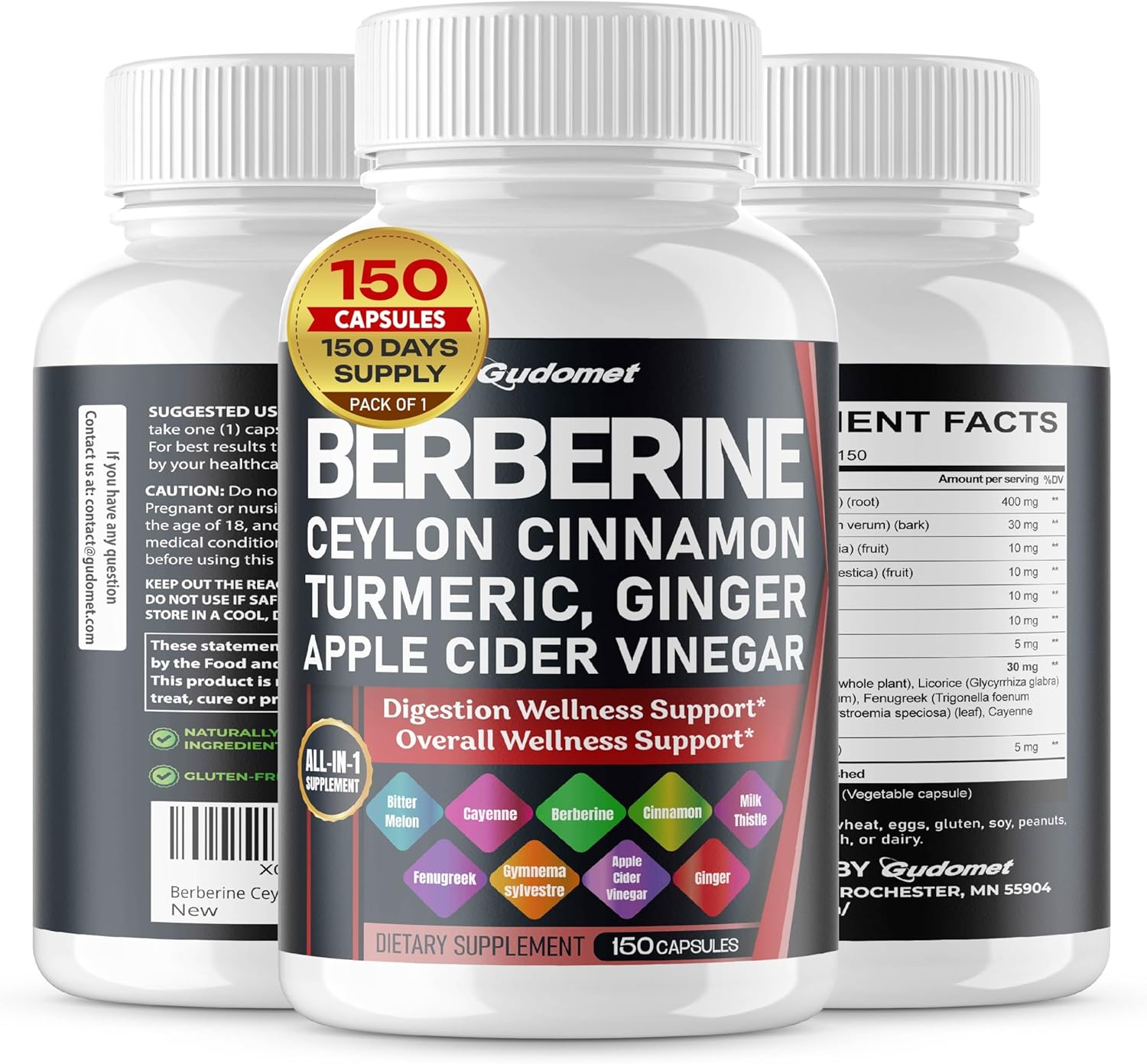 Berberine Ceylon Cinnamon - All-in-1 Supplement with Bitter Melon AVG Gymnema sylvestre Turmeric Milk Thistle Licorice Holy Basil Fenugreek Banaba