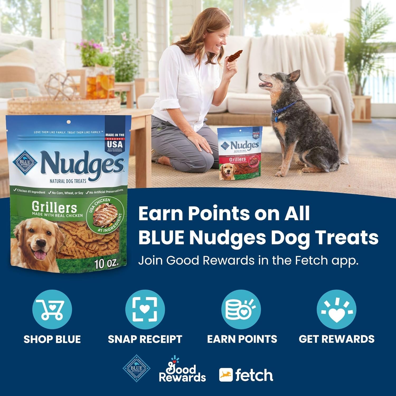 Blue Buffalo Nudges Grillers Natural Dog Treats, Made in the USA with Real Steak, 5-oz Bag - Image 3