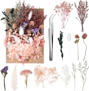 Real Dried Flowers, Natural Dry Flo...