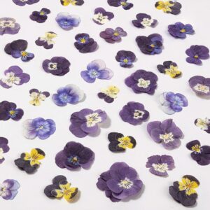 60Pcs Dried Pressed Pansies Flowers...