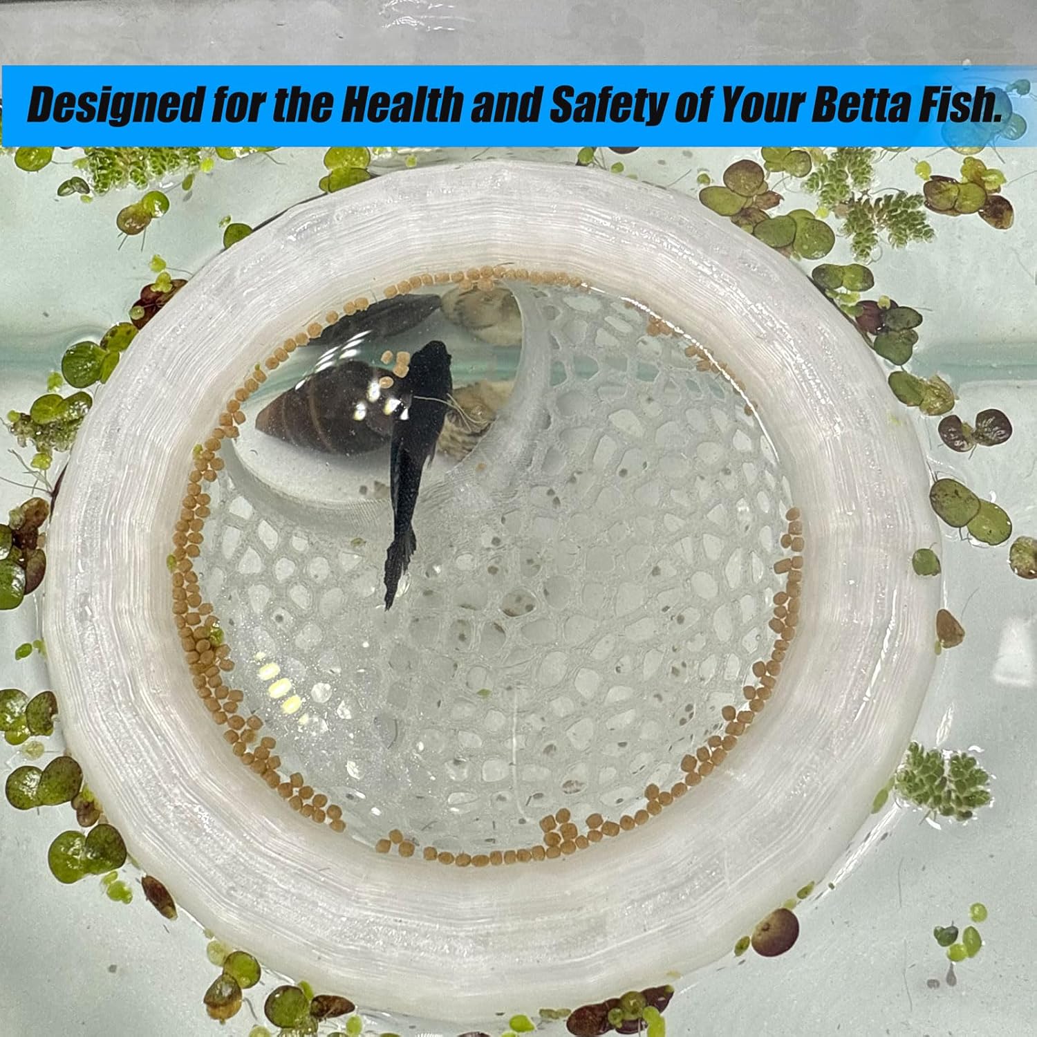 Aquarium Floating Betta Fish Skins, Betta or Shrimp Feeder, Cave and Hammock, Small Fish Feeding Rings, Aquarium Hiding Feeding Decorative Accessories (Green) - Image 2
