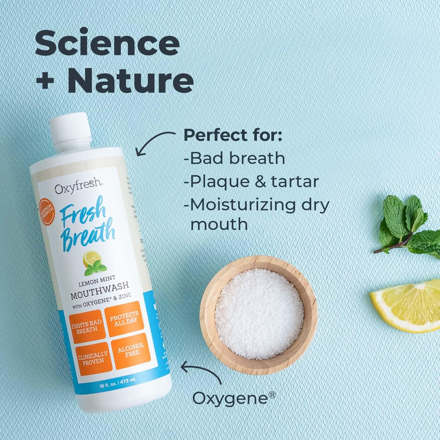 Oxyfresh Lemon Mint Fresh Breath Mouthwash – Bad Breath Treatment – SLS & Fluoride Free – Alcohol Free, Gentle Nonburning with Xylitol & Essential Oils – 16 Fl Oz (Pack of 3) - Image 4