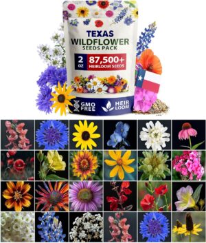HOME GROWN Texas Wildflower Seeds B...