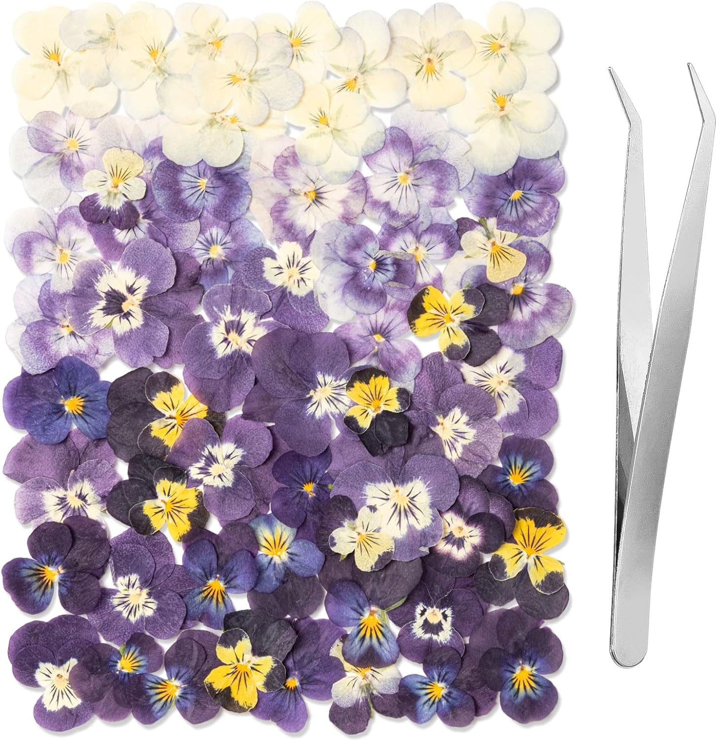 60Pcs Dried Pressed Pansies Flowers for Cake Decorating, Purple Real Dry Flower for Resin Art Crafts Jewelry Decorations - Image 2