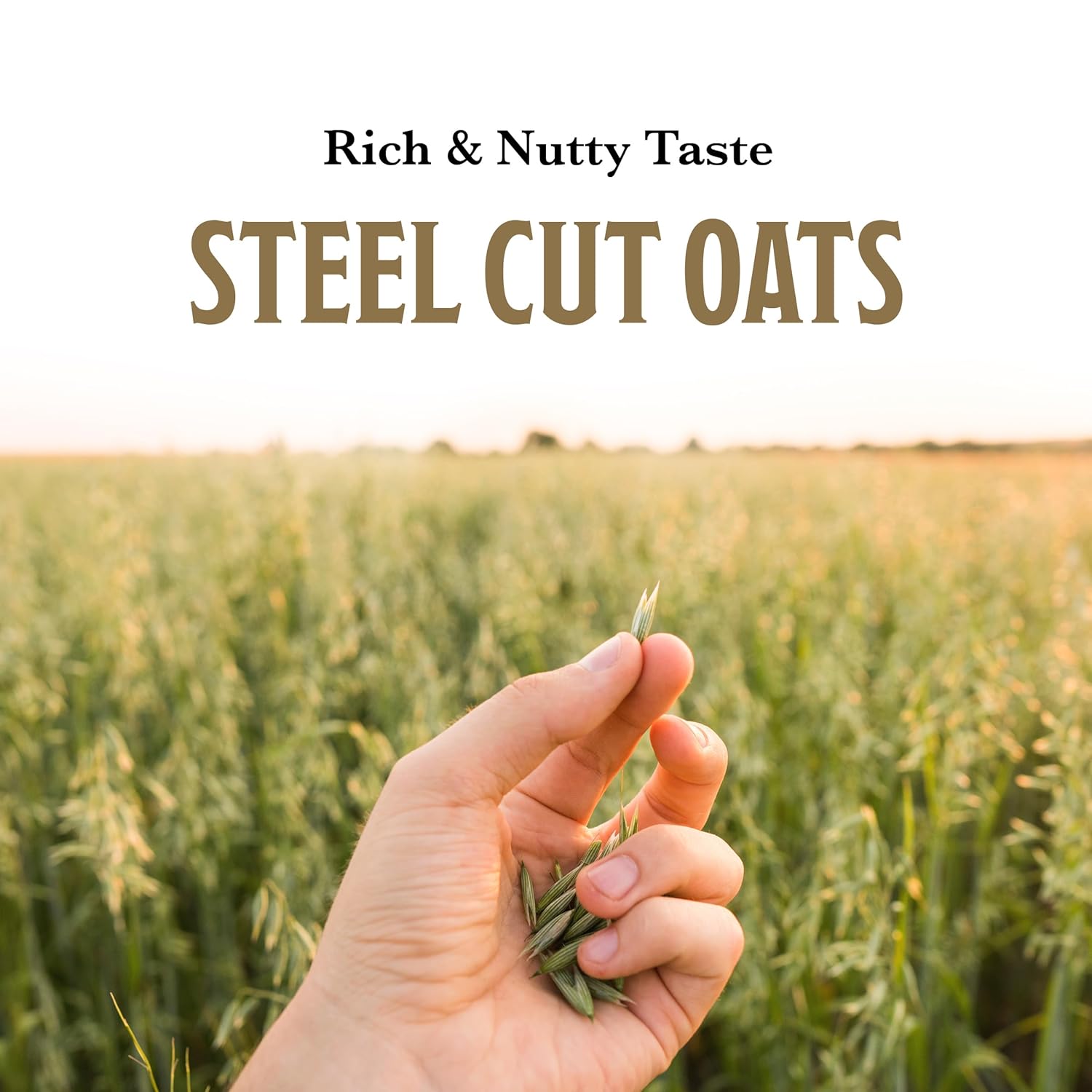 McCann's Irish Oatmeal, Traditional Steel Cut Oats, 28 Ounce Bag - Image 7
