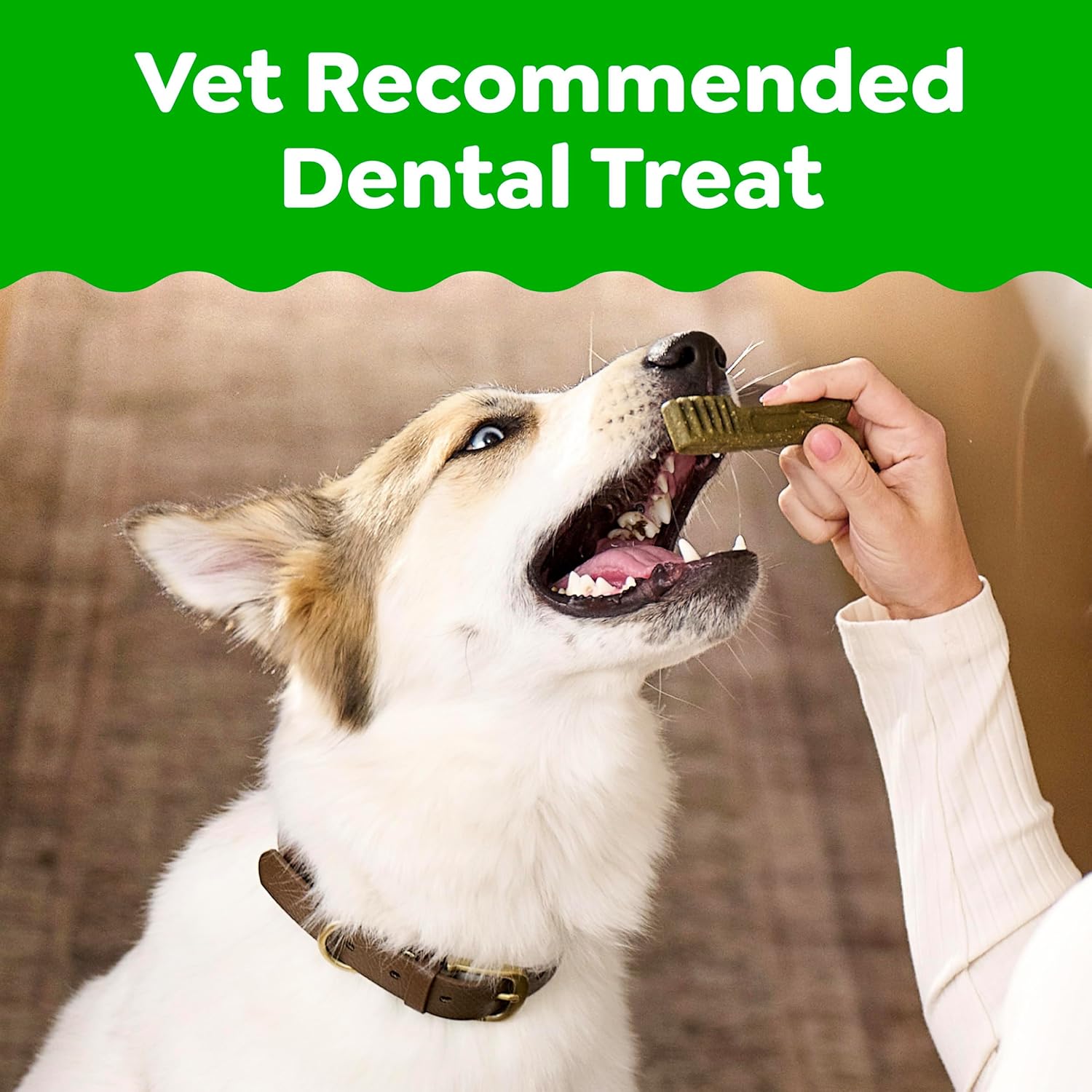 Greenies Veterinarian-Recommended Adult Natural Dental Dog Treats Large Size, Weight Management Dog Dental Chews, 27 oz. Pack, 17 Count - Image 3