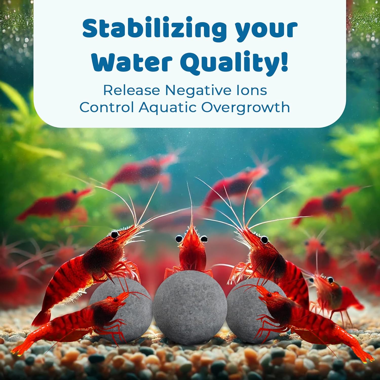 SunGrow Shrimp Balls, Aquarium Water Conditioner Balls, Successful Shedding, Increase Survival Rate, Impart Vibrance, Cool Décor with Wellness Benefits - Image 4