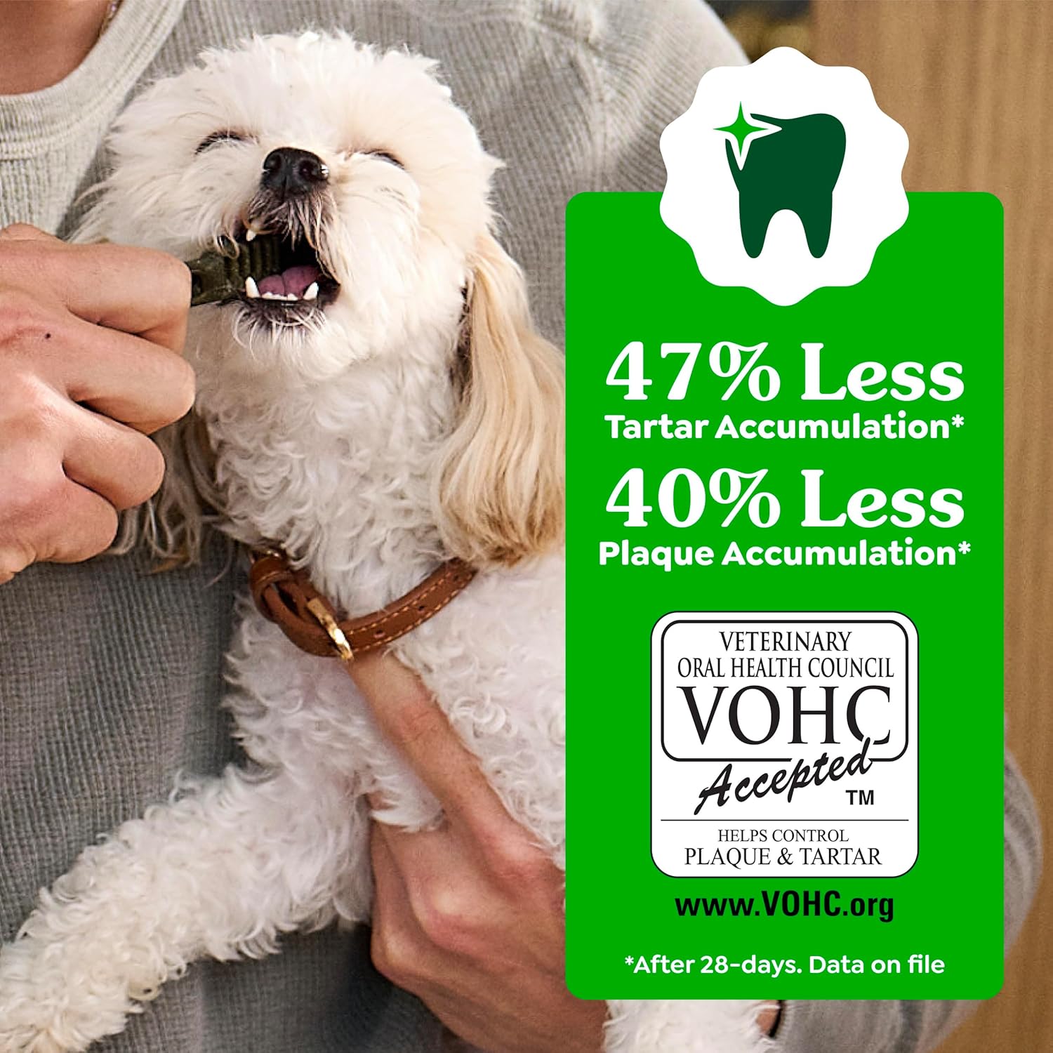 Greenies Veterinarian-Recommended Adult Natural Dental Dog Treats Large Size, Weight Management Dog Dental Chews, 27 oz. Pack, 17 Count - Image 6