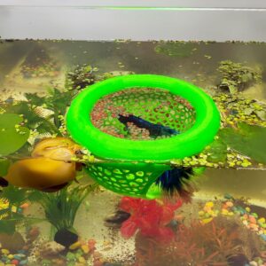 Aquarium Floating Betta Fish Skins,...