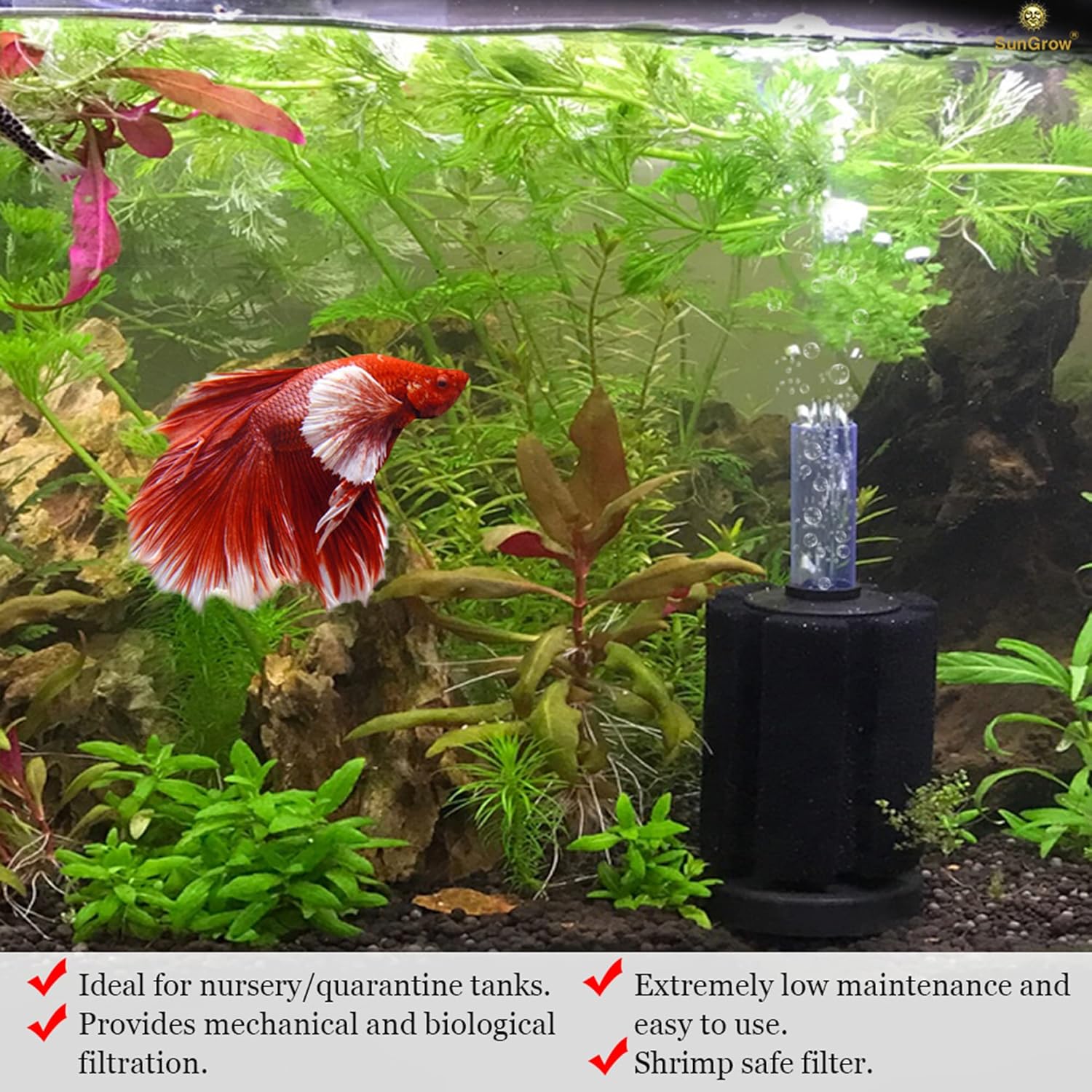 SunGrow 10-Gallon Betta Sponge Filter, Underwater Center Aquarium Filter, Attach it to Air Pump (Not Included) to Run, Works for Tropical Fish & Breeder Aquarium, Perfect for Fry & Small Fish - Image 2