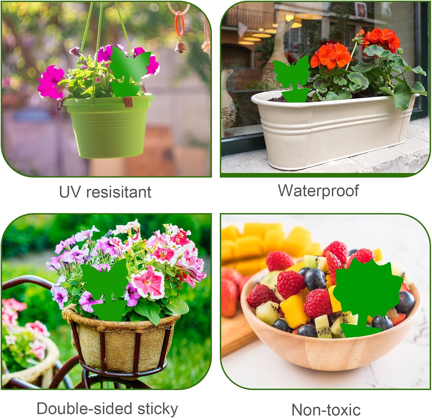 Fruit Fly Traps, 60 Pack Green Stick Traps, Fungus Gnat Traps, Plant Fly Stickers for Indoor and Outdoor Use Protect The Plant - Image 5