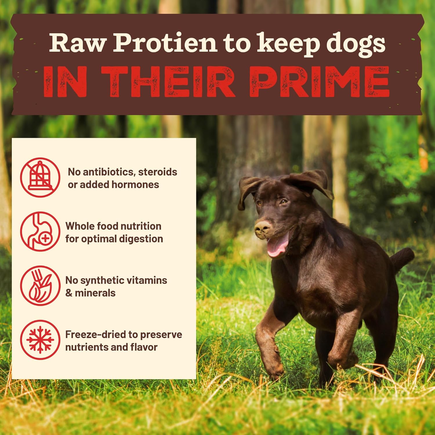 Primal Kibble in The Raw, Freeze Dried Dog Food, Chicken, Scoop & Serve, Made with Raw Protein, Whole Ingredient Nutrition, Crafted in The USA, Dry Dog Food 1.5 lb Bag - Image 4
