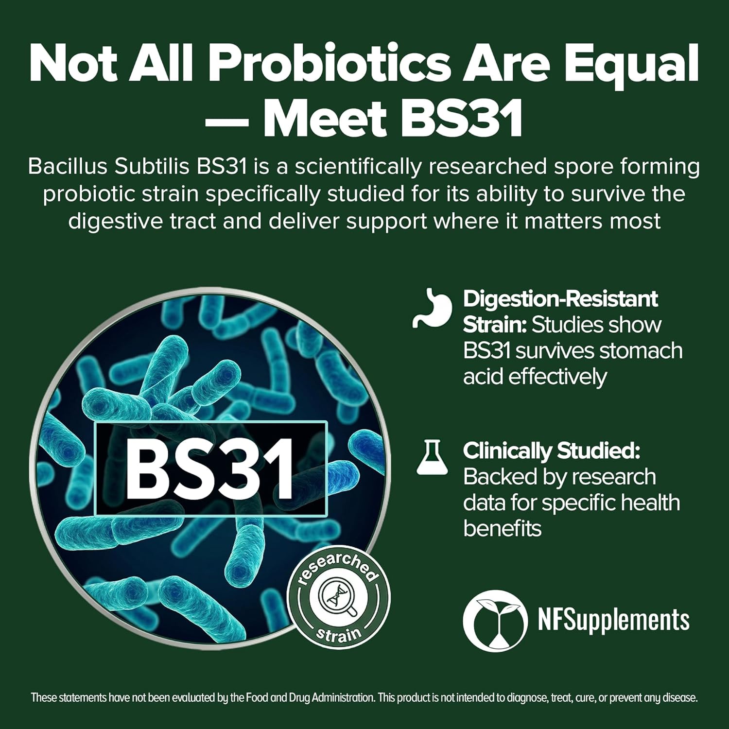 Bacillus Subtilis Probiotic 240 Tablets (4 Month Supply) – Researched Strain BS31 – 3 Billion CFU – Digestive Health & Immune Support – GMP Certified (240, Bacillus Subtilis) - Image 2