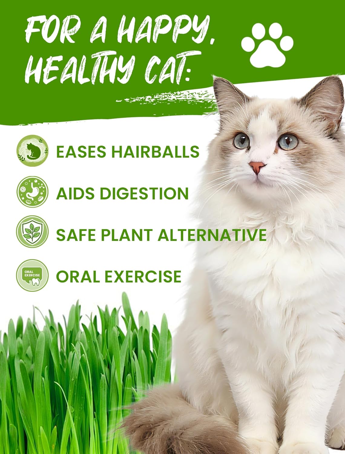 Cat Grass Kit for Indoor Cats, 3 Pack Fast Growing Cat Grass Kit with Eco-Friendly Biodegradable Pots, Soil & Wheatgrass Seeds, Grows in 3-7 Days with High Germination Rate - Image 2