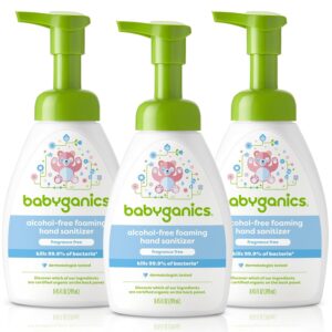 Babyganics Alcohol-Free Foaming Han...
