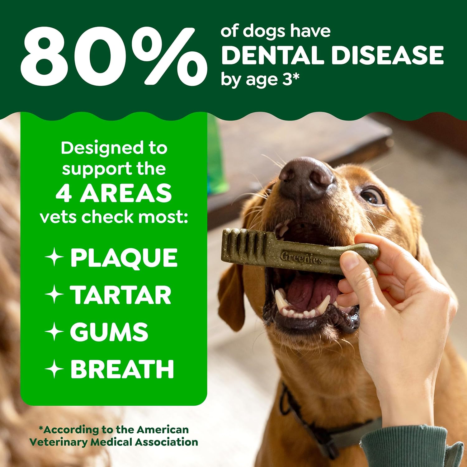 Greenies Veterinarian-Recommended Adult Natural Dental Dog Treats Large Size, Weight Management Dog Dental Chews, 27 oz. Pack, 17 Count - Image 4