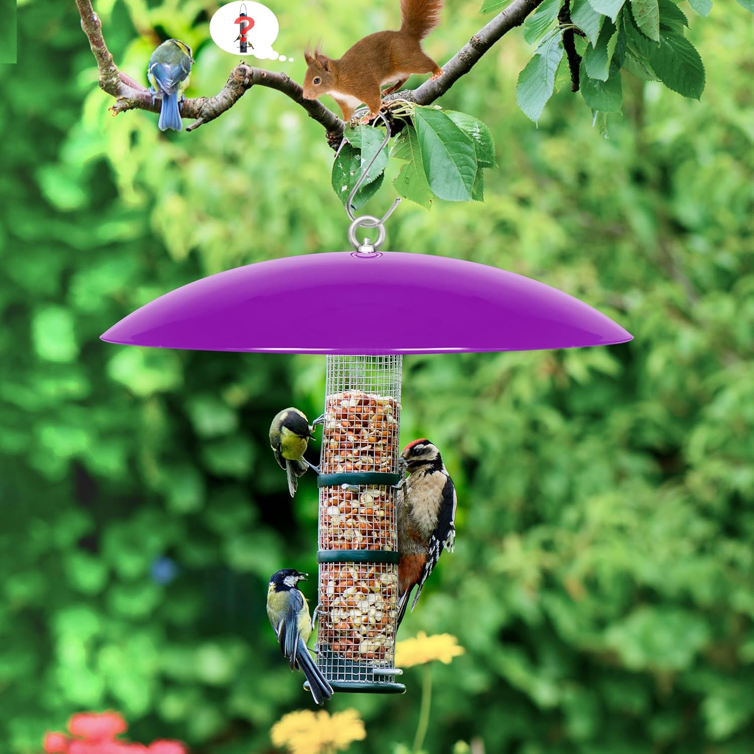 13" Bird Feeder Rain Cover,Bird Feeder Dome,Hummingbird Feeder Guard, Proof Bird Feeders Baffle,Smart Birds Feeder's Umbrella (Purple),2Pack - Image 6
