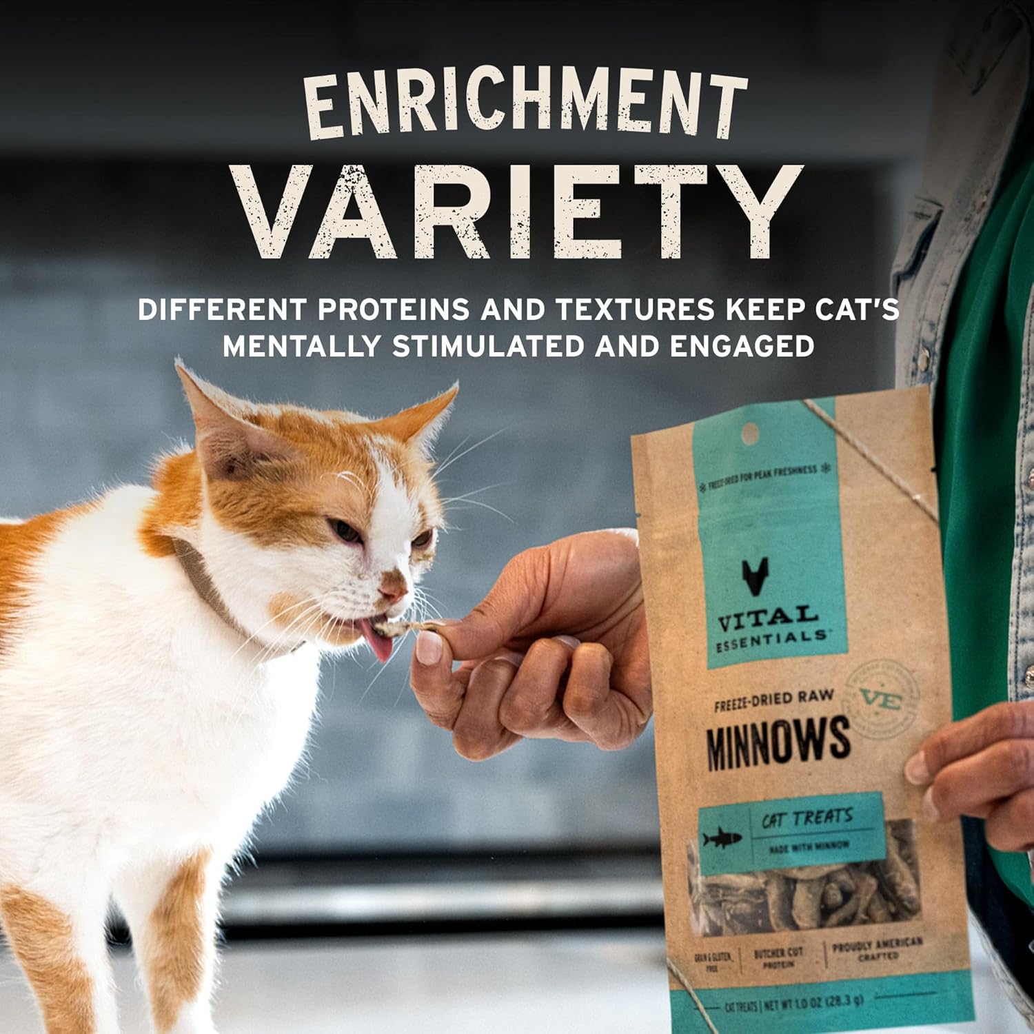 Vital Essentials Freeze Dried Minnows Cat Treats | Single Ingredient | Premium Quality | Grain Free, Healthy Treats for Cats, 0.5 oz Bag - Image 6