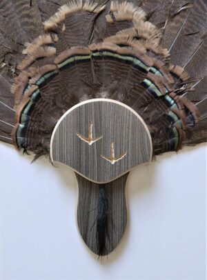 Rustic Grey Carved Turkey Mounting ...