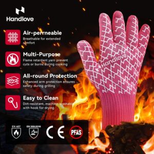 HandLove Aramid Heat Resistant BBQ ...