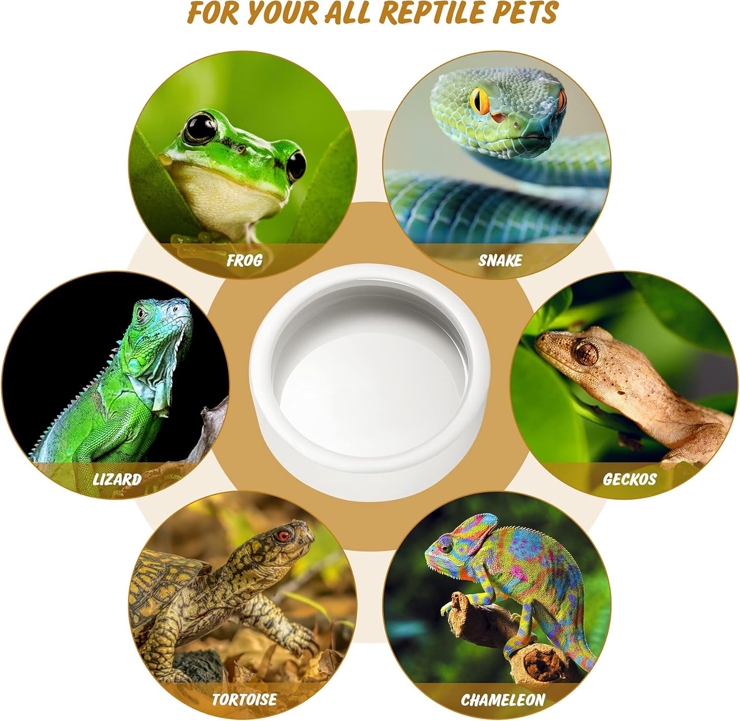 Ceramic Reptile Bowl - Mealworms & Cricket Dish for Gecko, Bearded Dragon & Chameleon - XL(5in) Anti-Escape Feeder - Image 6