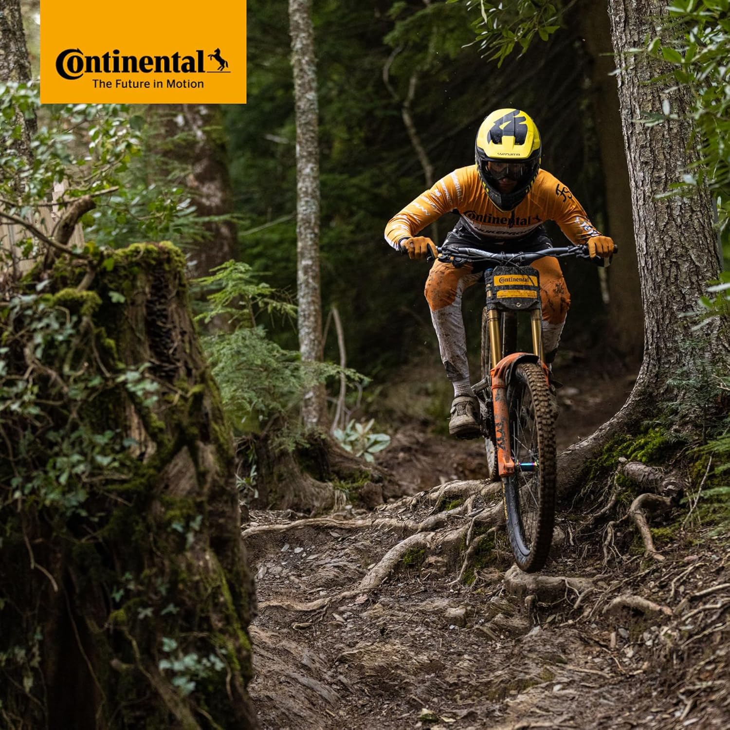 Continental MTB 29x1.75-2.5" / 47-622 -> 62-622 Inner Tubes - 42mm Presta Valve (Pack of 2 Tubes) - Image 4