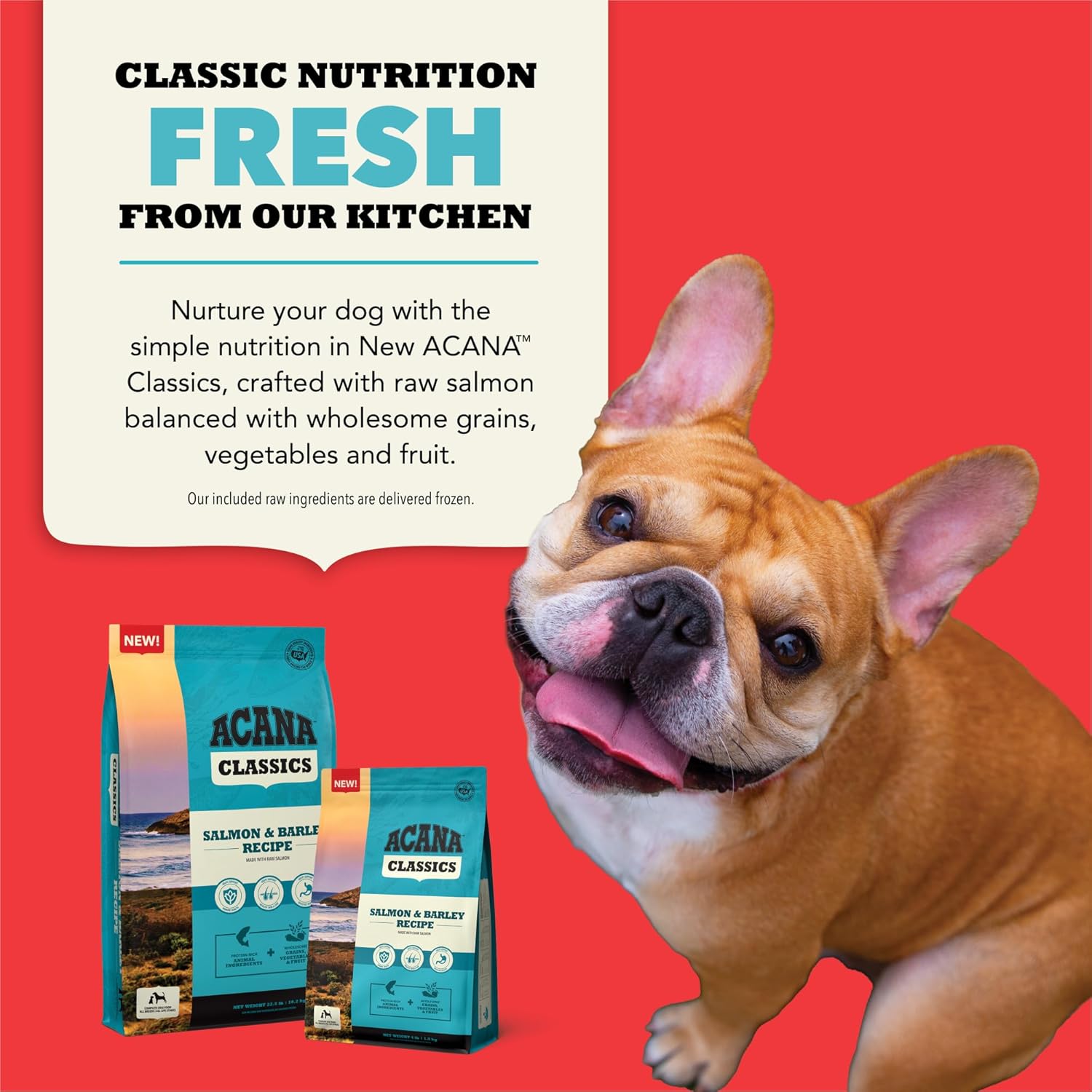 ACANA Classics Dry Dog Food Salmon and Barley Recipe 22.5lb Bag - Image 5