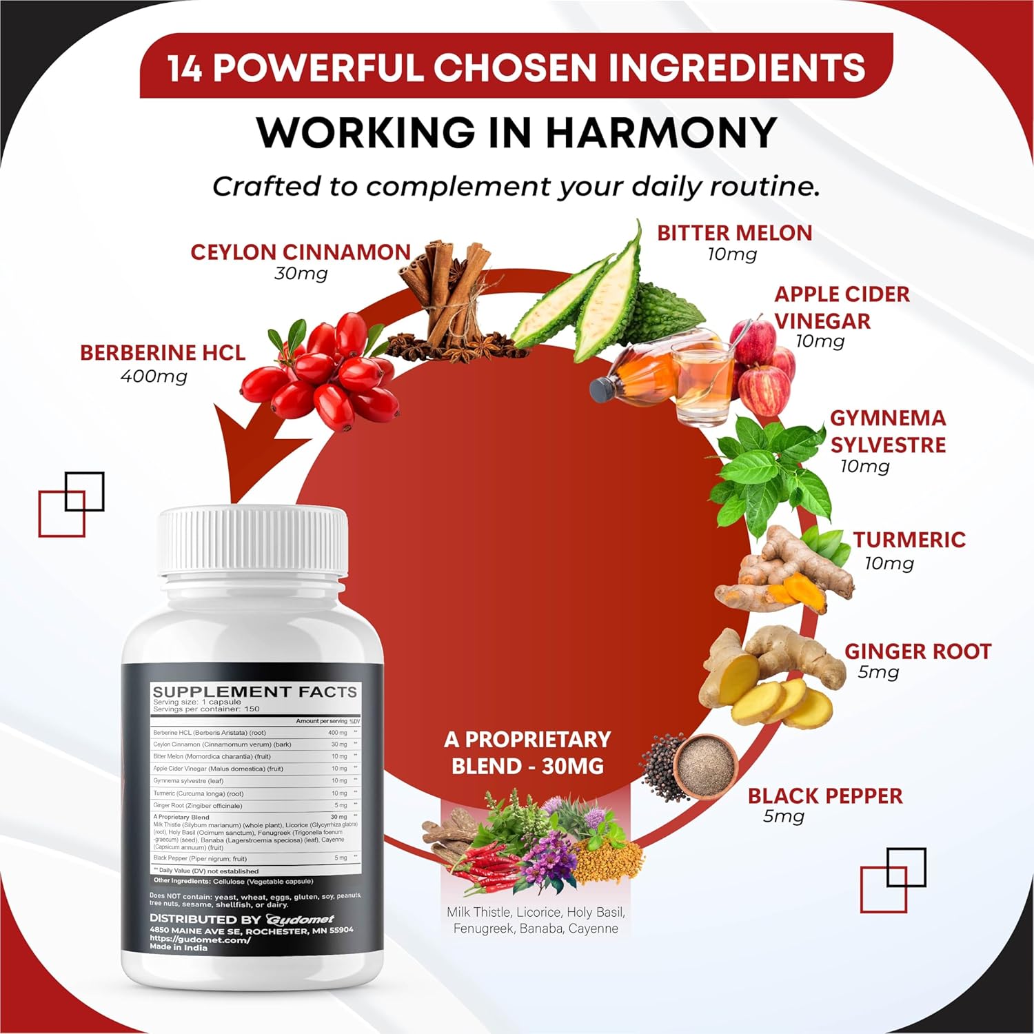 Berberine Ceylon Cinnamon - All-in-1 Supplement with Bitter Melon AVG Gymnema sylvestre Turmeric Milk Thistle Licorice Holy Basil Fenugreek Banaba - Image 4